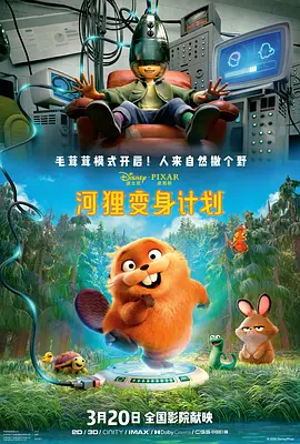 上层阶级